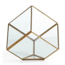 Danya B Cube Brass/Glass Terrarium   